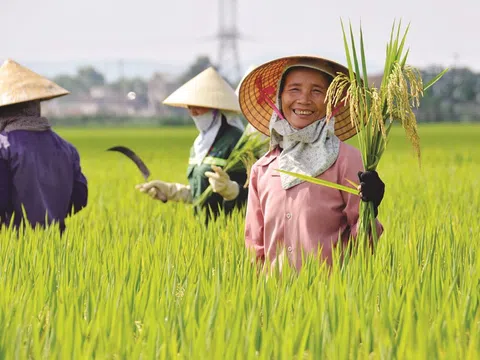 Việt Nam đề xuất các chính sách giảm nhẹ tác động của biến đổi khí hậu và an ninh lương thực