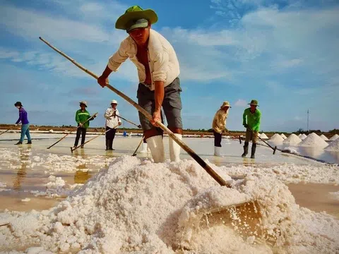 Festival nghề Muối nhằm tôn vinh, bảo tồn, phát triển nghề muối theo hướng hiện đại, bền vững