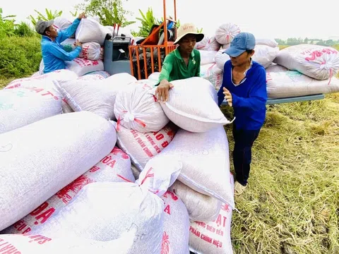 Năm 2024 nhiều dư địa để Việt Nam xuất khẩu gạo vượt mốc 5 tỷ USD