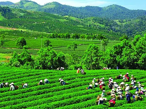 Việt Nam nỗ lực để trở thành quốc gia tiên phong trong tăng trưởng xanh trong khu vực