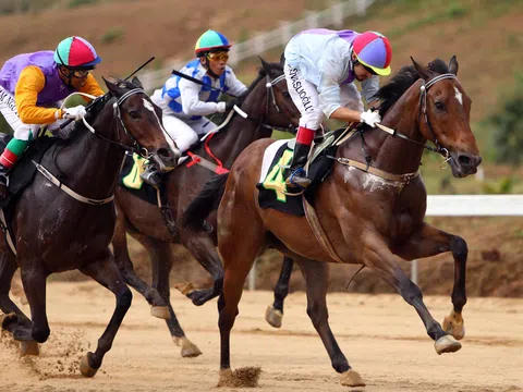 Vì sao chưa triển khai đặt cược bóng đá, đua ngựa, đua chó tại Việt Nam?