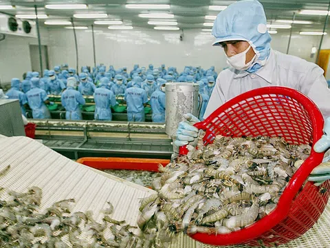 Hội chợ triển lãm quốc tế kỳ vọng tạo sức bật để ngành tôm cán đích 4 tỷ USD xuất khẩu