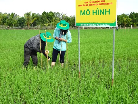 Kỹ thuật đo đạc thẩm định lượng phát thải trong sản xuất lúa gắn với tăng trưởng xanh