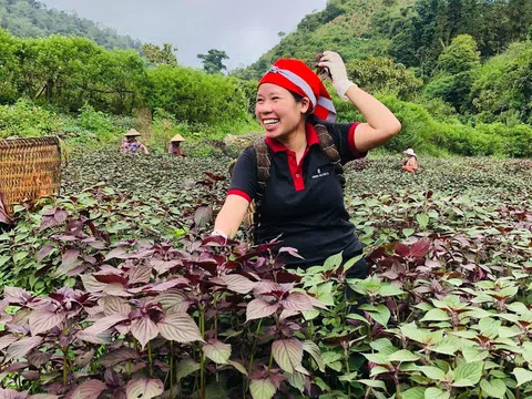 Nông nghiệp Việt Nam có cơ hội tiếp tục bứt phá nhờ đặt trọng tâm vào tăng trưởng xanh