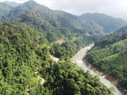 Bộ Nông nghiệp công bố hiện trạng rừng, miền Trung có diện tích rừng lớn nhất cả nước