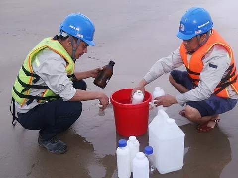 Nước biển đổi màu ở Hà Tĩnh là do tảo nở hoa