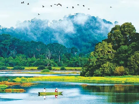 Đi tiên phong phát triển xanh, Đồng Nai quyết tâm giảm lượng phát thải khí nhà kính về 0 vào năm 2050