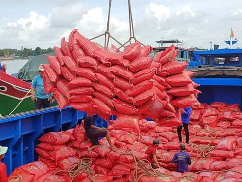 Gạo Việt đối mặt với canh tranh tại thị trường Philippines khi gạo Thái Lan tăng thị phần