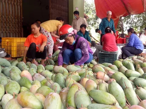 Sơn La triển khai nhiều giải pháp kích cầu tiêu thụ nông sản