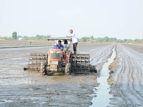 Cánh đồng lúa giảm phát thải đầu tiên xuống giống, khởi động đề án 1 triệu ha lúa chất lượng cao