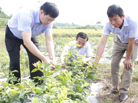 Để tạo sức hút, hợp tác xã cần giải đáp các câu hỏi của nông dân một cách thông suốt