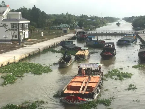 Bạc Liêu dành 21 tỷ đồng ứng phó với hạn, mặn theo kịch bản đã lựa chọn