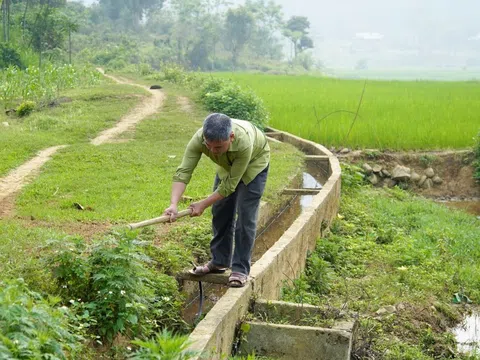 Hồ đập cạn nước hàng nghìn hec ta lúa bị khô hạn, Sơn La khẩn trương ứng phó