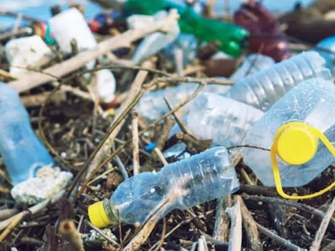 Hành động để chấm dứt sử dụng nhựa vì sức khỏe của con người và Trái đất