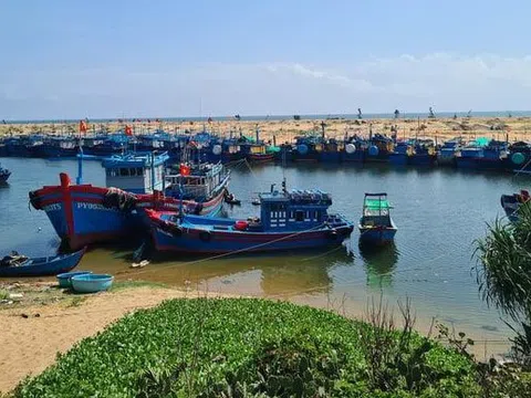 Chính phủ đẩy mạnh chương trình hành động chống khai thác thủy sản bất hợp pháp