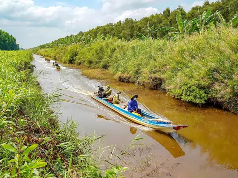 Khoảng 45.000 ha lâm phần rừng U Minh hạ ở mức báo cháy nguy hiểm, cực kỳ nguy hiểm