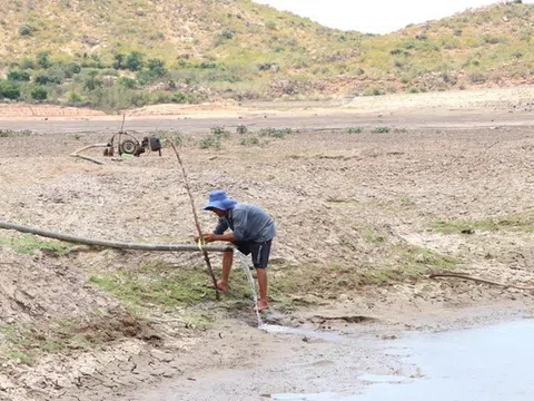 "Chảo lửa" Ninh Thuận tìm giải pháp sử dụng hiệu quả nguồn nước và tháo gỡ điểm nghẽn về nước