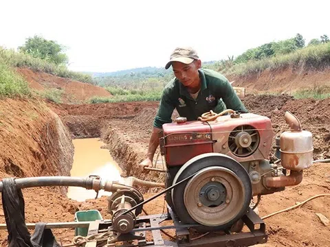 Xây dựng kịch bản khô hạn, phương án trữ nước cho sản xuất nông nghiệp và dân sinh