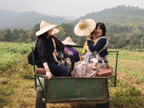 Du lịch nông nghiệp Hà Nội khai phá tiềm năng ven đô xanh