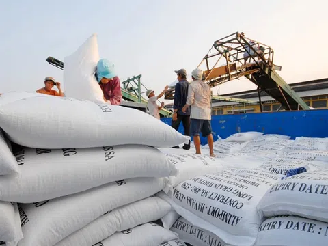 Nhu cầu nhập khẩu gạo tăng cao tại Philippines càng củng cố vị thế số 1 của Việt Nam