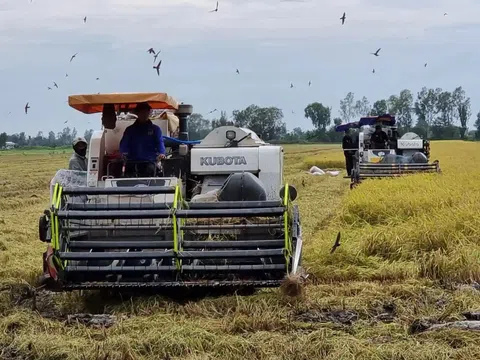 Indonesia mong muốn tăng cường hợp tác về xuất nhập khẩu gạo với Cần Thơ