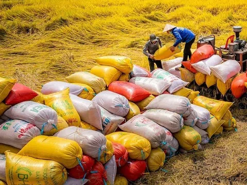Việt Nam kỳ vọng xuất khẩu khoảng 7,6 triệu tấn gạo trong năm 2024