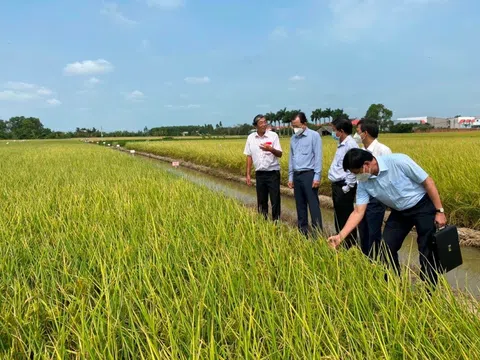 Cần giúp doanh nghiệp, người dân hiểu rõ về giảm phát thải khí nhà kính và thị trường Carbon