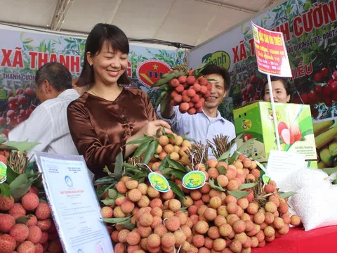 Cần chính sách đột phá trong liên kết thương mại để phát huy các lợi thế khu vực đồng bằng sông Hồng