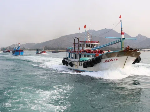 Ninh Thuận quyết liệt chống khai thác thủy sản bất hợp pháp, cùng cả nước gỡ 'thẻ vàng'