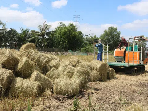 Phát triển kinh tế tuần hoàn trong sản xuất và chế biến gạo lúa gạo