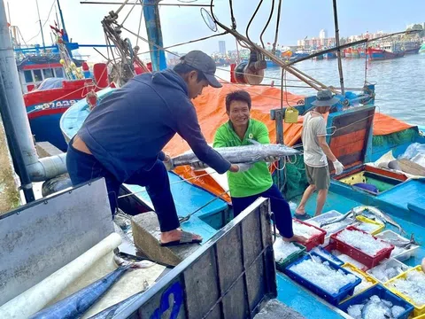 EC dời lịch kiểm tra IUU tại Việt Nam vào khoảng tháng 9, 10 năm nay