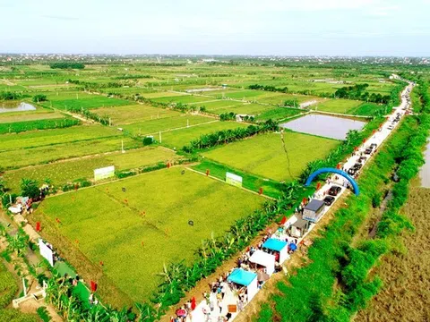 'Ngày hội lúa rươi hữu cơ' ở Hải Dương tôn vinh giá trị nông nghiệp vị nhân sinh