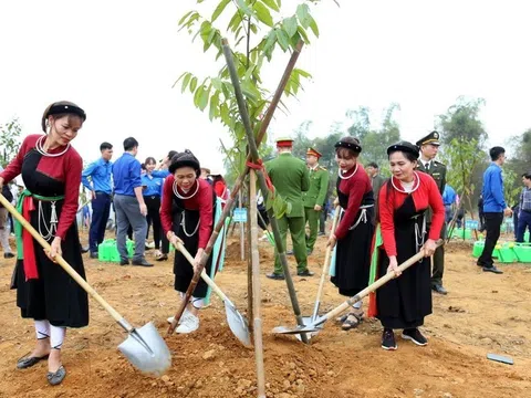 Tuyên Quang hoàn thành trồng 6 triệu cây xanh sớm 1 năm so với kế hoạch