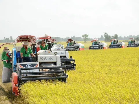 Bước đột phá từ mô hình sản xuất lúa gạo phát thải thấp gắn với tăng trưởng xanh ở An Giang