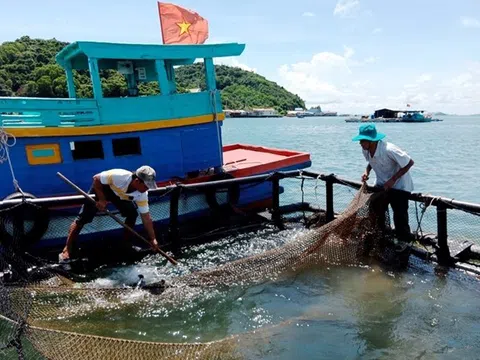 Chuyển đổi nuôi cá sang lồng nhựa vừa bảo vệ môi trường vừa tăng thu nhập hàng trăm triệu đồng