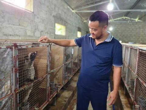 Nuôi chồn hương - mô hình chăn nuôi xanh hiệu quả cao ở Hà Tĩnh