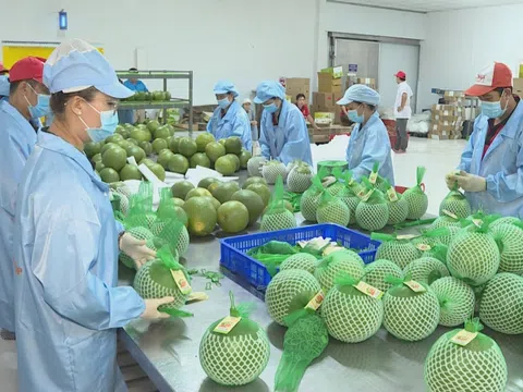 IMF dự báo tăng trưởng GDP của Việt Nam đạt gần 6% trong năm 2024