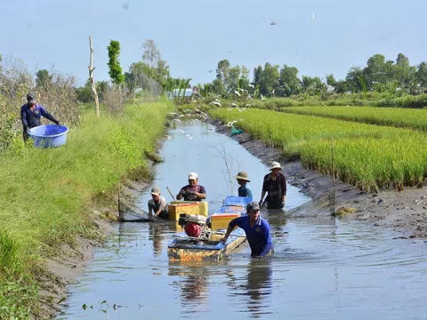 Hỗ trợ nhân rộng các mô hình nuôi tôm bền vững, thích ứng biến đổi khí hậu