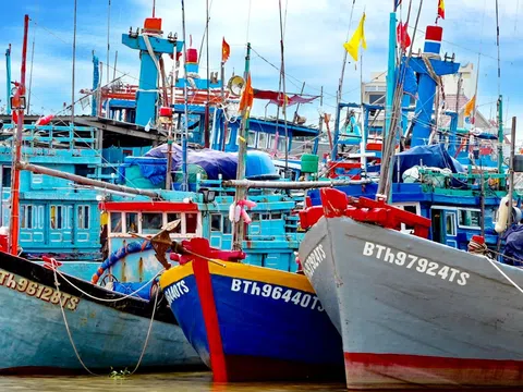 Kiên quyết gỡ "thẻ vàng" IUU: Bình Thuận giám sát đặc biệt hơn 170 tàu cá