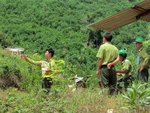 Tổ chức hợp tác rừng châu Á hỗ trợ Việt Nam chuyển giao công nghệ, chuyển đổi số trong lâm nghiệp