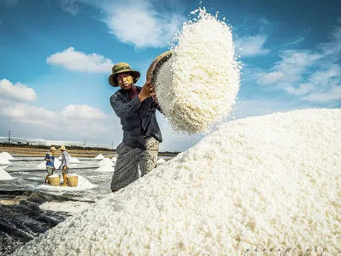 Lần đầu tiên tổ chức Festival nâng tầm giá trị hạt muối, tôn vinh nghề muối Việt Nam