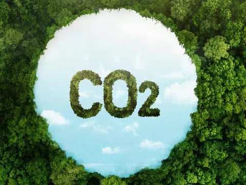 Xây dựng thị trường carbon là “cuộc chơi mới” cho từng doanh nghiệp và cả nền kinh tế