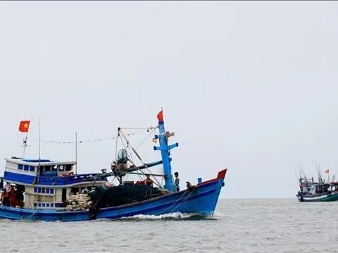 Tạo điều kiện hỗ trợ thủ tục cho hơn 300 tàu cá “3 không” khai thác thủy sản
