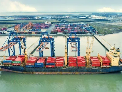 Kiến nghị miễn phí dịch vụ cảng biển cho hàng hóa tại Hải Phòng nhằm gỡ khó cho doanh nghiệp