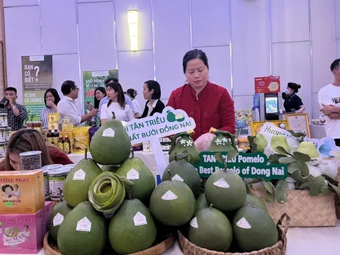 Nông sản vùng Đông Nam bộ sẽ tạo dựng lợi thế xuất khẩu từ những vùng chuyên canh và liên kết xây dựng thương hiệu