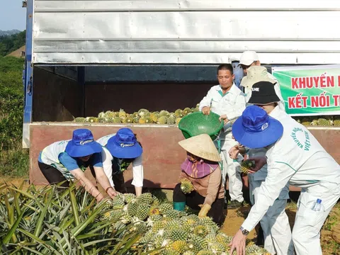 Tổ khuyến nông cộng đồng giúp phát triển vùng nguyên liệu đảm bảo chất lượng xuất khẩu