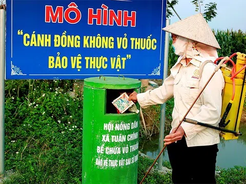 Gìn giữ môi trường xanh từ những cánh đồng không vỏ bao thuốc bảo vệ thực vật