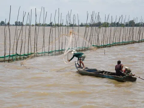 Tổng vốn hơn 17.700 tỷ đồng thực hiện Dự án “Chống chịu khí hậu và chuyển đổi tổng hợp vùng ĐBSCL”