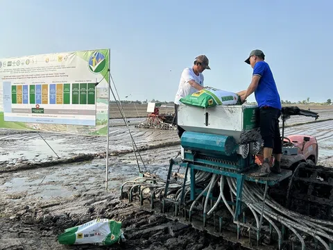 Phải tạo khác biệt mang tính đột phá cho vùng đất trồng lúa có năng suất, chất lượng cao