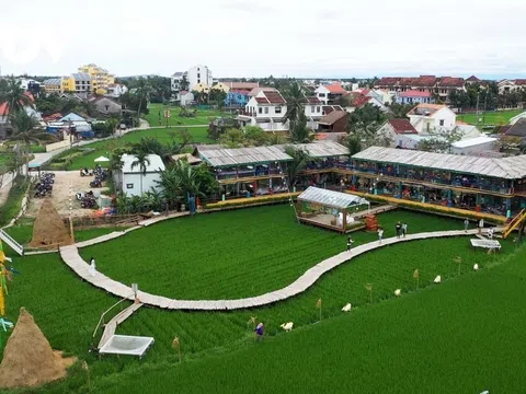 Quảng Nam: Lần đầu tiên có 25 doanh nghiệp được chứng nhận du lịch xanh